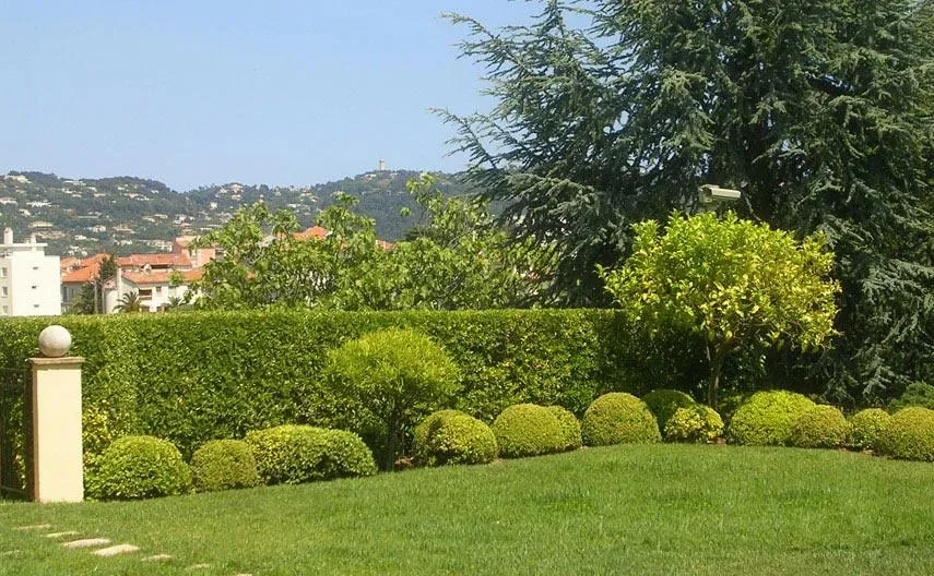 Création de jardin à Mougins