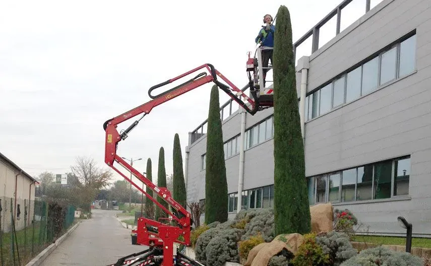 Taille d'arbres à Mougins