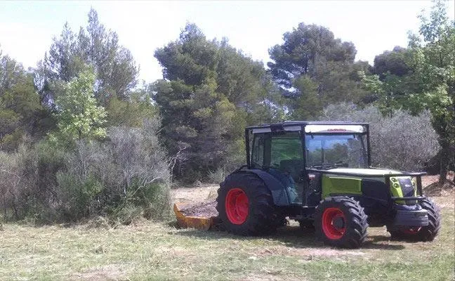 Débroussaillage mécanique à Mougins